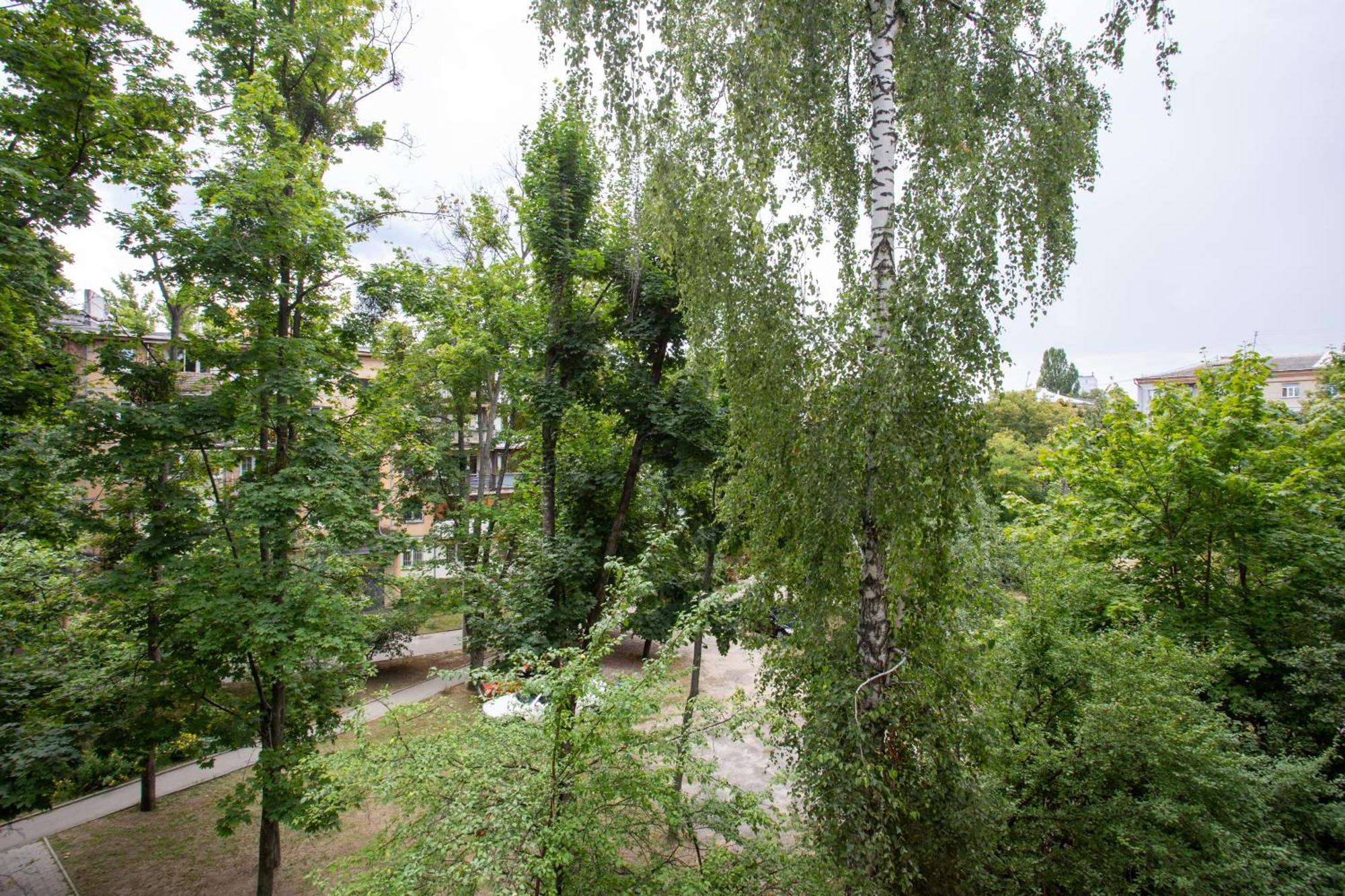 Botanical Garden Area Apartman Harkov Kültér fotó